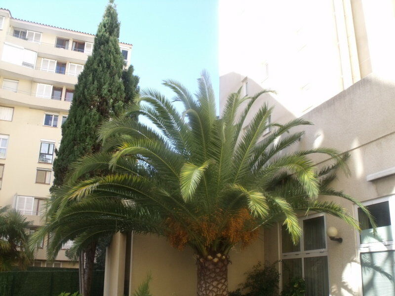 Ibis Styles Perpignan Centre Gare Hotel Ngoại thất bức ảnh